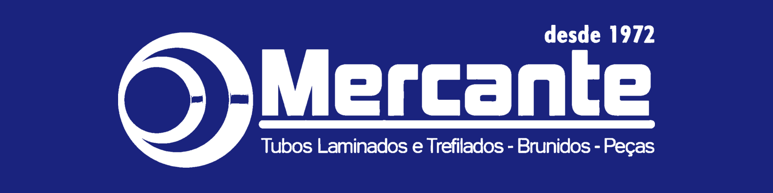 Banner LinkedIn (1584 × 396)