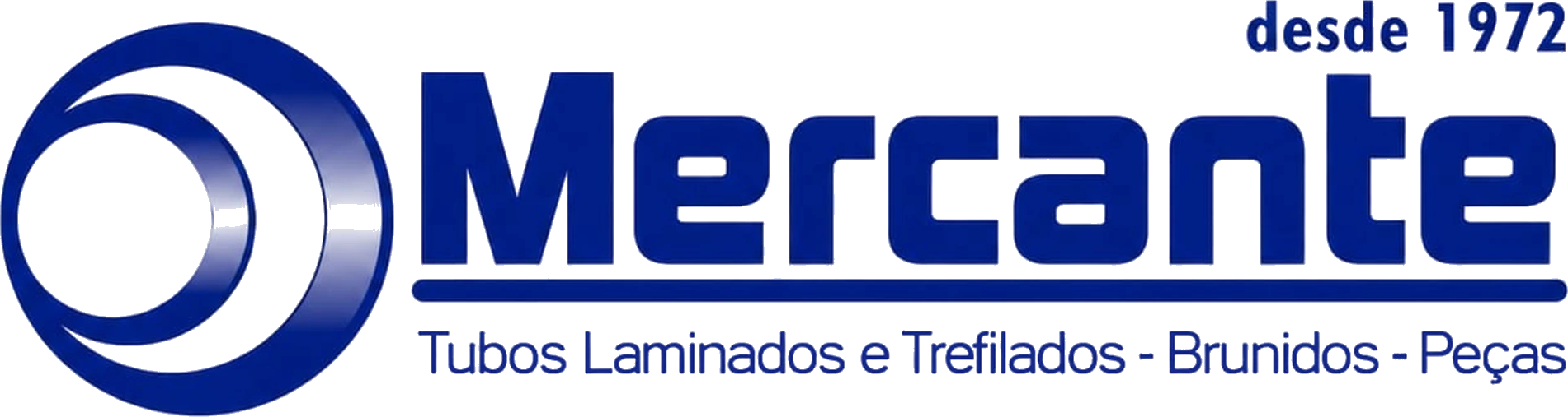 Logo principal (azul)