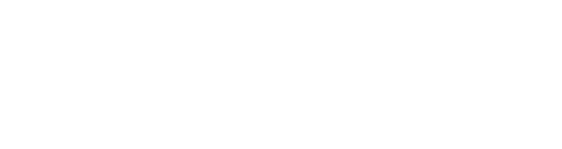 Logo invertido (branco)